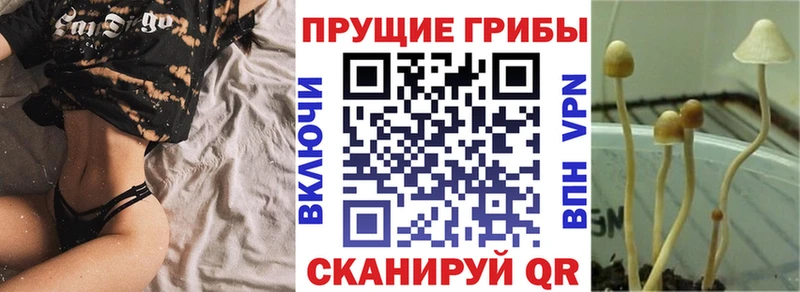 гидра как зайти наркотики Обоянь Псилоцибиновые грибы Cubensis